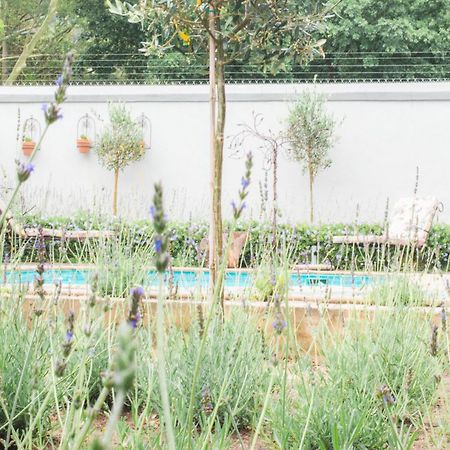 Olive Tree Lodge Paarl Εξωτερικό φωτογραφία